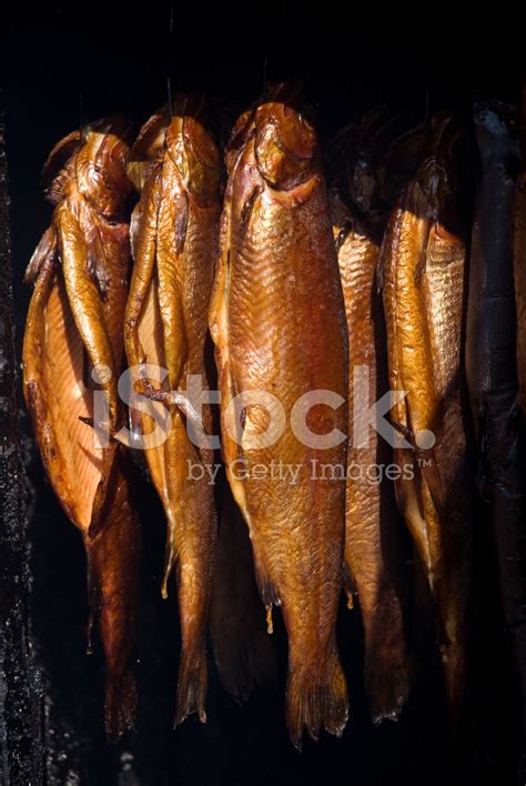 Kipper Fish Stock Photos