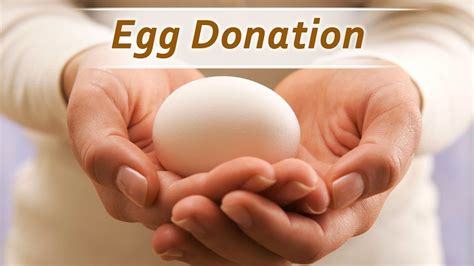 Egg Donation And Egg Sharing Youtube