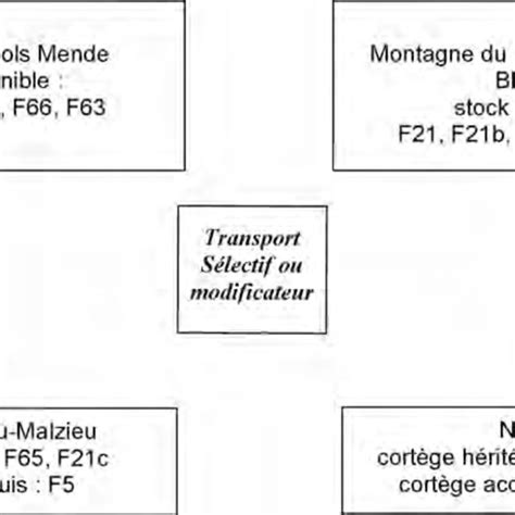 Les Diff Rences Entre Les Stocks Sources Et Les Cort Ges Des G Tes