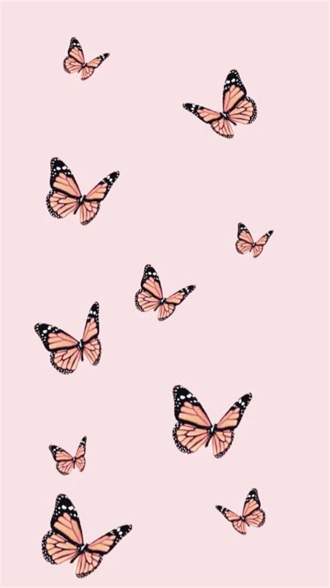 Pastel Butterfly Wallpapers - Top Free Pastel Butterfly Backgrounds ...