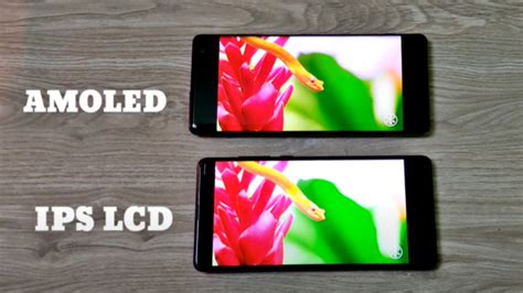 Perbandingan Layar Amoled Dan Ips Mana Yang Terbaik Saat Ini