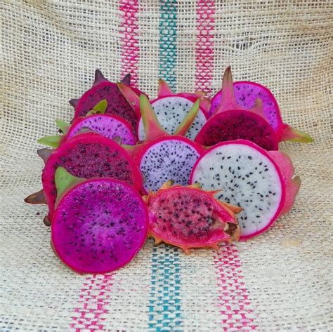 Pitaya Pitahaya Dragon Fruit Plant Cuttings Choose 2