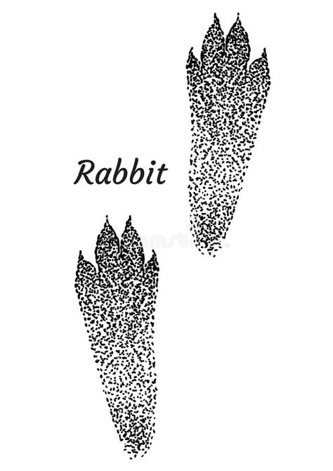 Rabbit Paw Prints Clipart