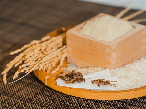 【米ぬかを使った国産たんぱく質】futurenautとナカリ、クリケット（食用コオロギ）生産に関する共同研究、および産業化に向けた検討を開始し