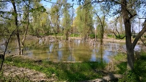 Riva Del Po UNIONE DEI COMUNI TERRE E FIUMI