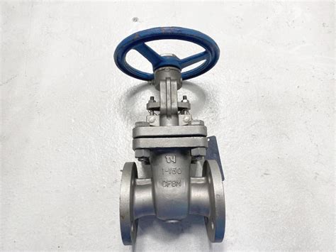 TY 1 150 RF CF8M Gate Valve 101RF CF8M 10