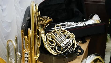 Оркестровые духовые и ударные инструменты — Государственное ...