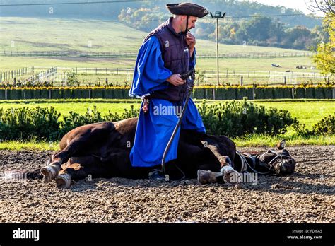 Hungarian Horseman At Lazar Equestrian Park Hungary Rider Standing