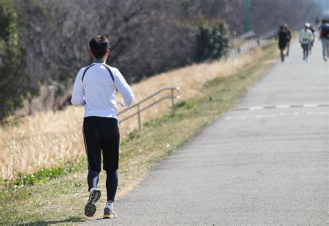 【西尾市】来年度開催の『にしおフルマラソン』のコースが決定しました！ 号外net 西尾市・幸田町