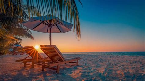 Buy Beach Chairs Under Palm Tree Sunset On Beach Wallpaper Peel N