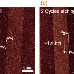 30 30 µm² AFM scans of selectively etched MoS2 film with a 1 cycle