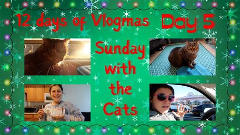 Vlogmas Day 5 Errands Cats 12 Days Of Vlogmas Be Well With E