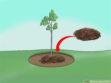 How to Apply Mulch: 14 Steps (with Pictures) - wikiHow