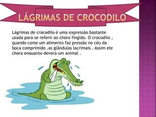 Lágrimas De Crocodilo Significado - Provérbios e o seu significado | PPT