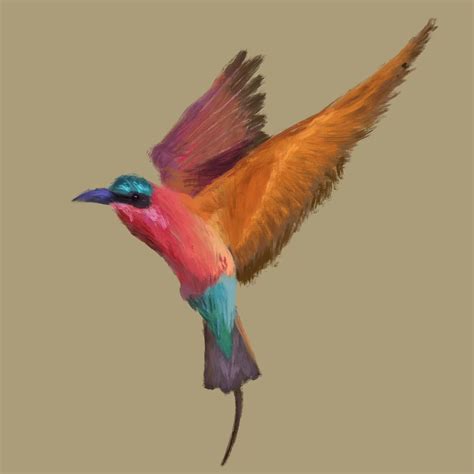 Sunday Sketch The Southern Carmine Bee Eater