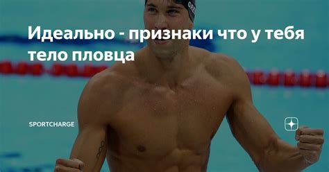 Идеально - признаки что у тебя тело пловца | SportCharge | Дзен