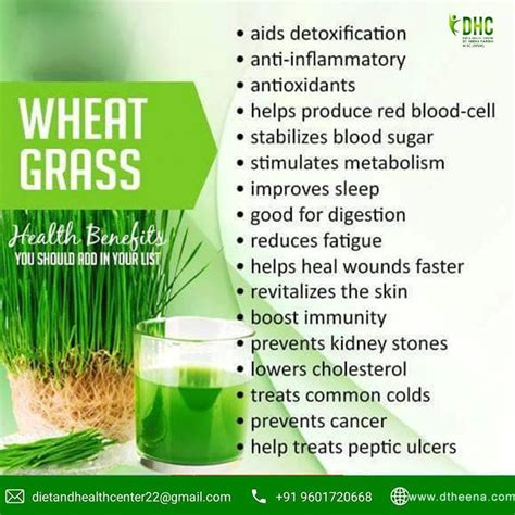 Health Benefit Of Wheatgrass Juice Contact Us 91 9601720668