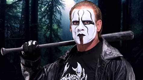 About Steve Borden (aka Sting on WWE): Age, Net Worth, Wife