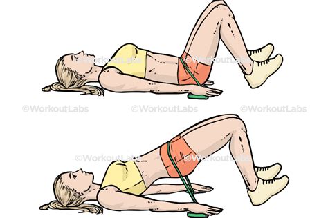 Resistance Band Glute Bridges – WorkoutLabs Exercise Guide