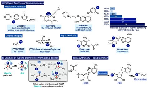 Catalysts Free Full Text Tetramethylammonium Fluoride Fundamental