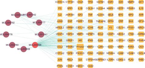 The Network Of Compound Target Disease Construction The Targets Were