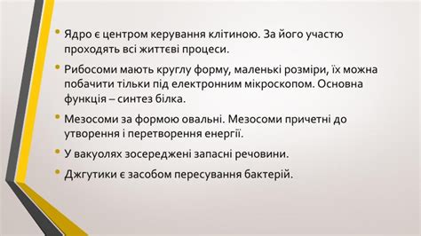 Бактерії, їх характеристика