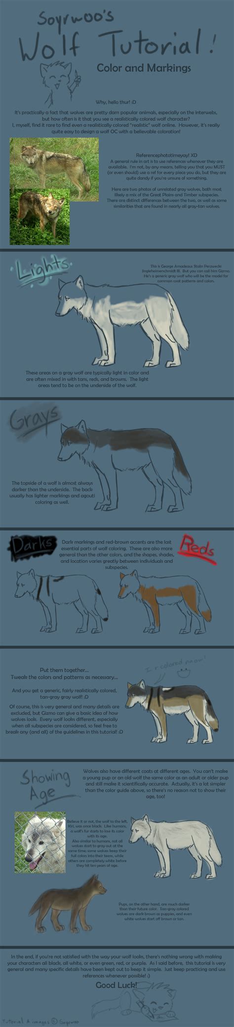 Wolf Tut Color And Markings By Soyrwoo On Deviantart