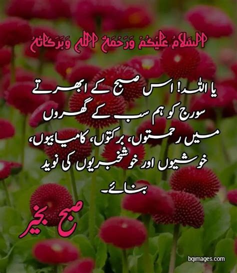 30 Good Morning Wishes In Urdu Images