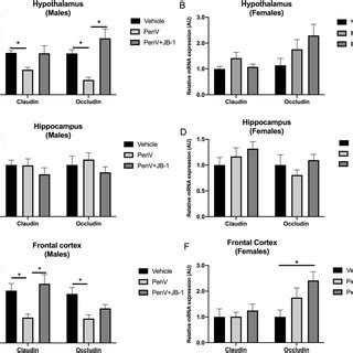 PDF Sex Dependent Effects Of Post Natal Penicillin On Brain Behavior And Immune Regulation
