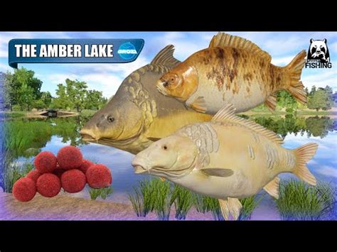 Russian Fishing Rf The Amber Lake Trophy Frame Sided Carp I Tried