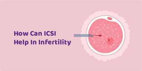 Icsi Success Rates Factors Affecting Fertility Treatment Apollo