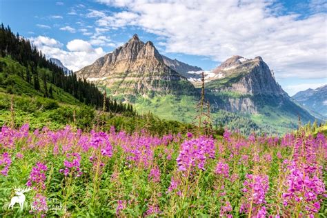 Solve Montana Jigsaw Puzzle Online With Pieces