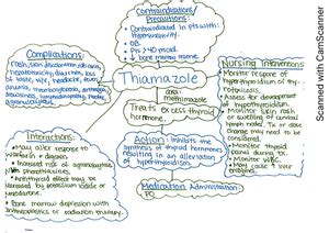 Nsg Syllabus Fl Ky Txlcameron Galen College Of Nursing