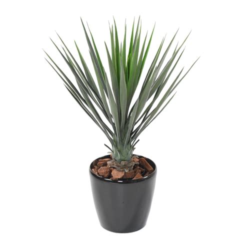 Yucca Artificiel Rostrata 78 00