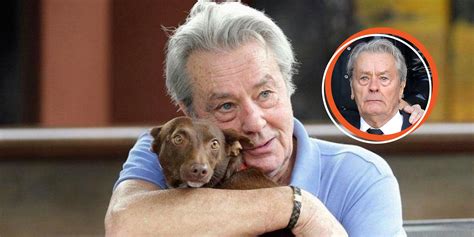 Le Chien Qu Alain Delon A Sauv De Ses Br Lures Corporelles Est D C D