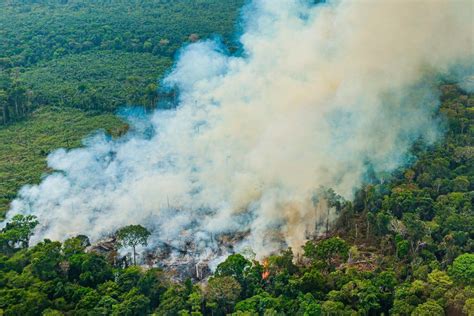 Governo Federal Anuncia Medidas De Combate Seca Na Amaz Nia