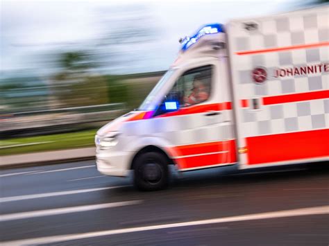 Accident De Gibier Un Automobiliste De Ans Entre En Collision Avec