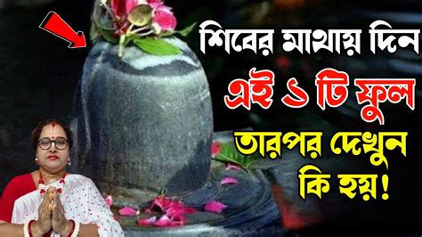 শিবের মাথায় দিন এই ১ টি ফুল তারপর দেখুন কি হয় হারানো ভাগ্য ফিরে আসবে