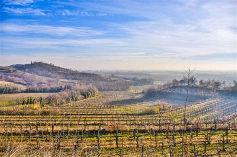 Alla Scoperta Di Gorizia La Citt Gli Abitanti Cosa Visitare E Mangiare