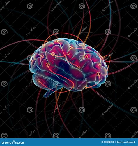 Thinking Brain Stock Illustration Image 53542218