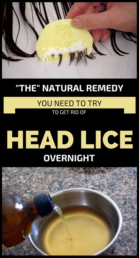 The Natural Remedy To Get Rid Of Head Lice Overnight