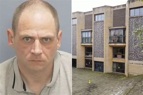 Sex Toys Latest News Updates Pictures Video Reaction The Mirror