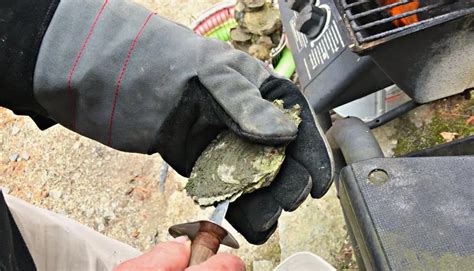 how to open oysters in the shell