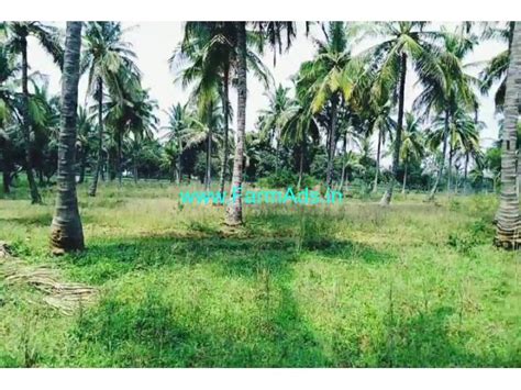 Acre Coconut Farm Land For Sale Km From Channapatna Town Maddur