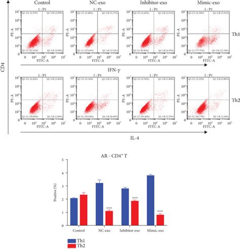 Hmsc Derived Exosome Inhibited The Ar Cd Cells Differentiated Into