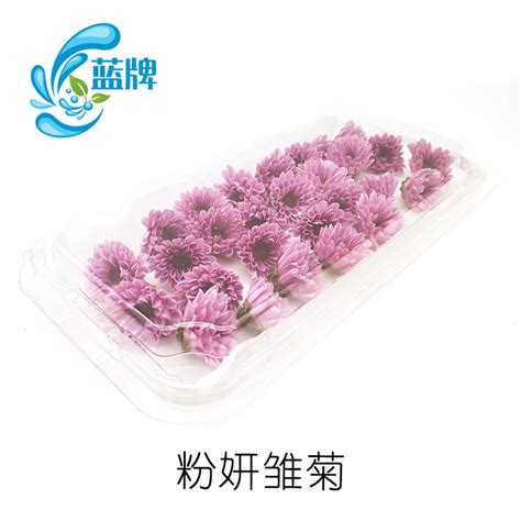 【蓝牌】新鲜粉妍雏菊鲜花小菊花西餐日料摆盘装饰花草21朵虎窝淘