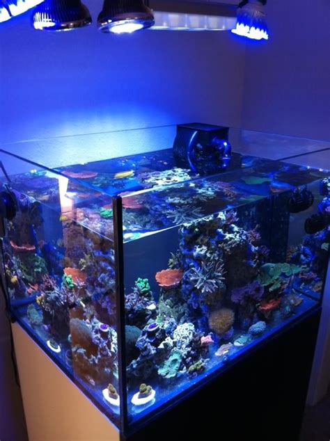 Reef Aquariums For Your Inspiration Reef Aquarium Aquarium Fish Tank