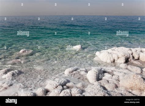 dead sea in jordan Stock Photo - Alamy