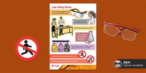 Lab Rules Display Poster Professor Feito Twinkl