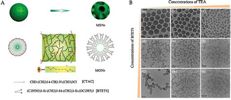 A Schematic Illustration Of The Organicinorganic Hybrid Mons With